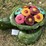 #170-•-metal-art---large-turtle-w/flowers-image-1