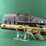 remington-mdl.r-15-vtr-223cal-rifle-image-16