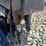 #27024-•-wolverine-hydraulic-pallet-forks-skid-steer-attachment-image-9