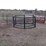 3-hay-rings--1-polly-&-2-metal-image-2