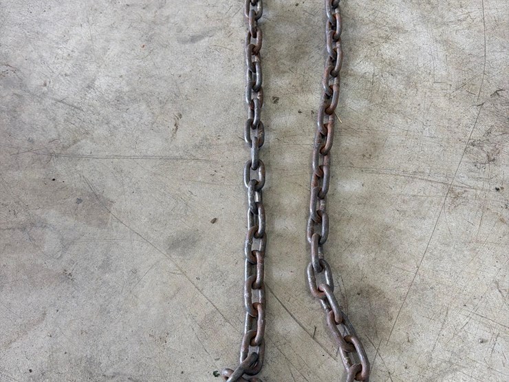20ft-log-chain-image-2