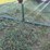 escoba-livestock-oiler-image-4