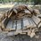 #52-•-lumber---6"-x-1"-bundle-up-to-14'-image-1