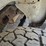 #25311-•-2019-chevrolet-silverado-pickup-truck-image-73