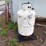 120-gallon-propane-tank-image-1
