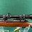 ruger-mdl.77/22-22lr-rifle-image-15