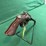 hi-standard-mdl.r-101-sentinel-22cal-revolver-image-3