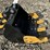 #262-•-mini-excavator-15"-toothed-bucket-image-2
