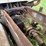 international-8300-6x4-semi-grain-truck-image-32