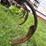 landoll-9-shank-572-chisel-image-15