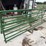 2-16ft-gates-image-1