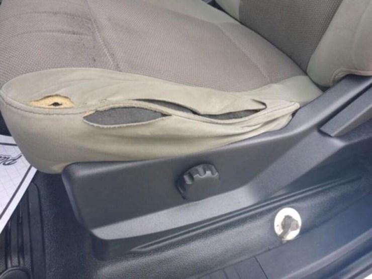 2019-ford-f350-xl-image-20