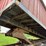 international-8300-6x4-semi-grain-truck-image-27