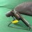 ruger-gp100-38spl-revolver-image-3