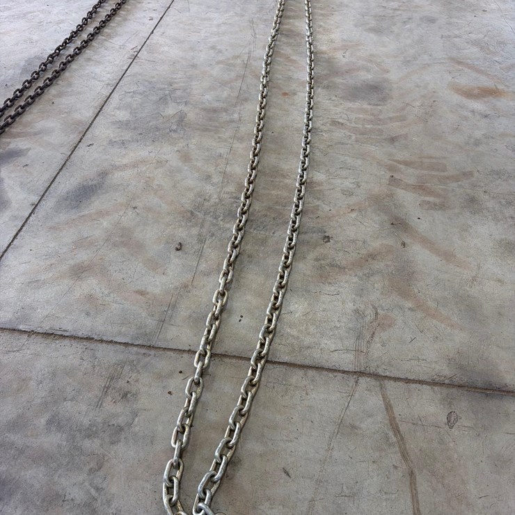 20ft Log Chain
