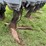 hiniker-8row-3pt-field-cultivator-image-19