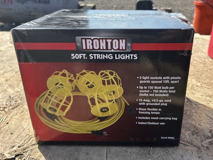 #113-•-ironton-50-ft-string-lights-image-1