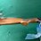 hatfield-sas-20ga-shotgun-image-12
