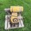 kohler-k161s-engine-image-2