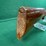 stoeger-zephyr-uplander-12ga-shotgun-image-9