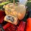 case-900-wheatland-propane-tractor-image-28