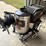 aaladin-3000-psi-hot-water-power-washer—1-owner-image-8
