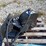 #27023-•-stump-grinder-mini-skid-steer-attachment-image-5