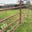 14-panel-corral-pen-image-12