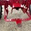 1954-farmall-super-h-tractor—restored-image-8
