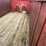 international-8300-6x4-semi-grain-truck-image-88