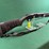 mossberg-mdl.500-12ga-shotgun-image-2
