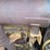 caterpillar-d5m-lgp-image-21