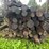 wood-post-and-stand-image-3
