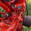 case-dc-tractor-image-23