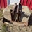 3pt-cement-weight-image-8