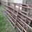 4-gates-image-6