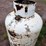 120-gallon-propane-tank-image-5