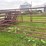 14-panel-corral-pen-image-4