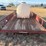 16'-trail-master-flatbed-trailer-image-7