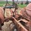 allis-wc-tractor-image-9