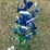 #172-•-metal-art---bluebonnet-flower-pot-stand-image-2