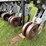 hiniker-8row-3pt-field-cultivator-image-7
