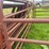 14-panel-corral-pen-image-11