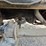 2018-kenworth-t370-image-49