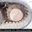 hitachi-ex55ur-image-24