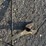 #37-•-snap-up-lever-for-trailer-hitch-image-1