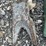 #39-•-(3)-skid-steer/-excavator-bucket-teeth-image-3