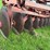 massey-ferguson-620-image-4