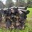 wood-post-and-stand-image-5