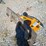 #27040-•-sailing-hydraulic-breaker-excavator-attachment-(53)-image-6